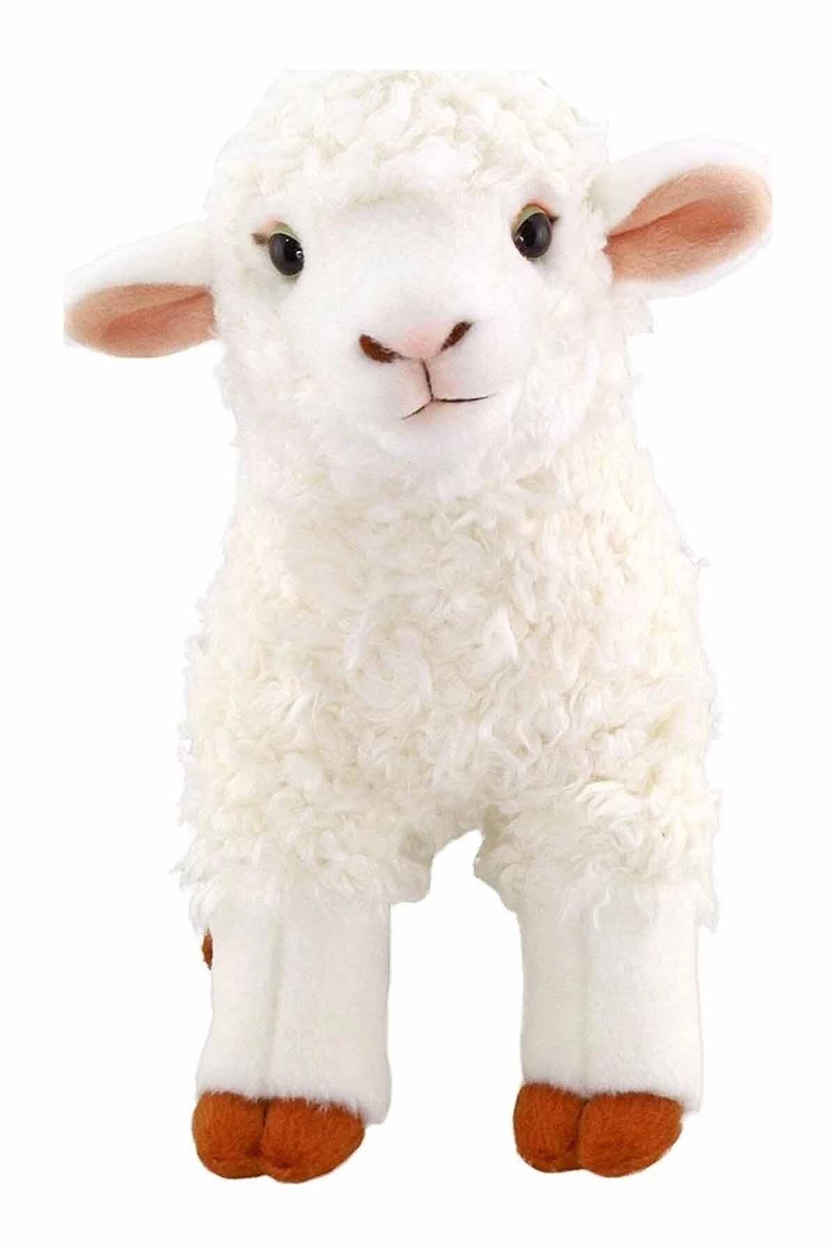 Animals of the World Ayakta Kuzu Pelüş 29 cm