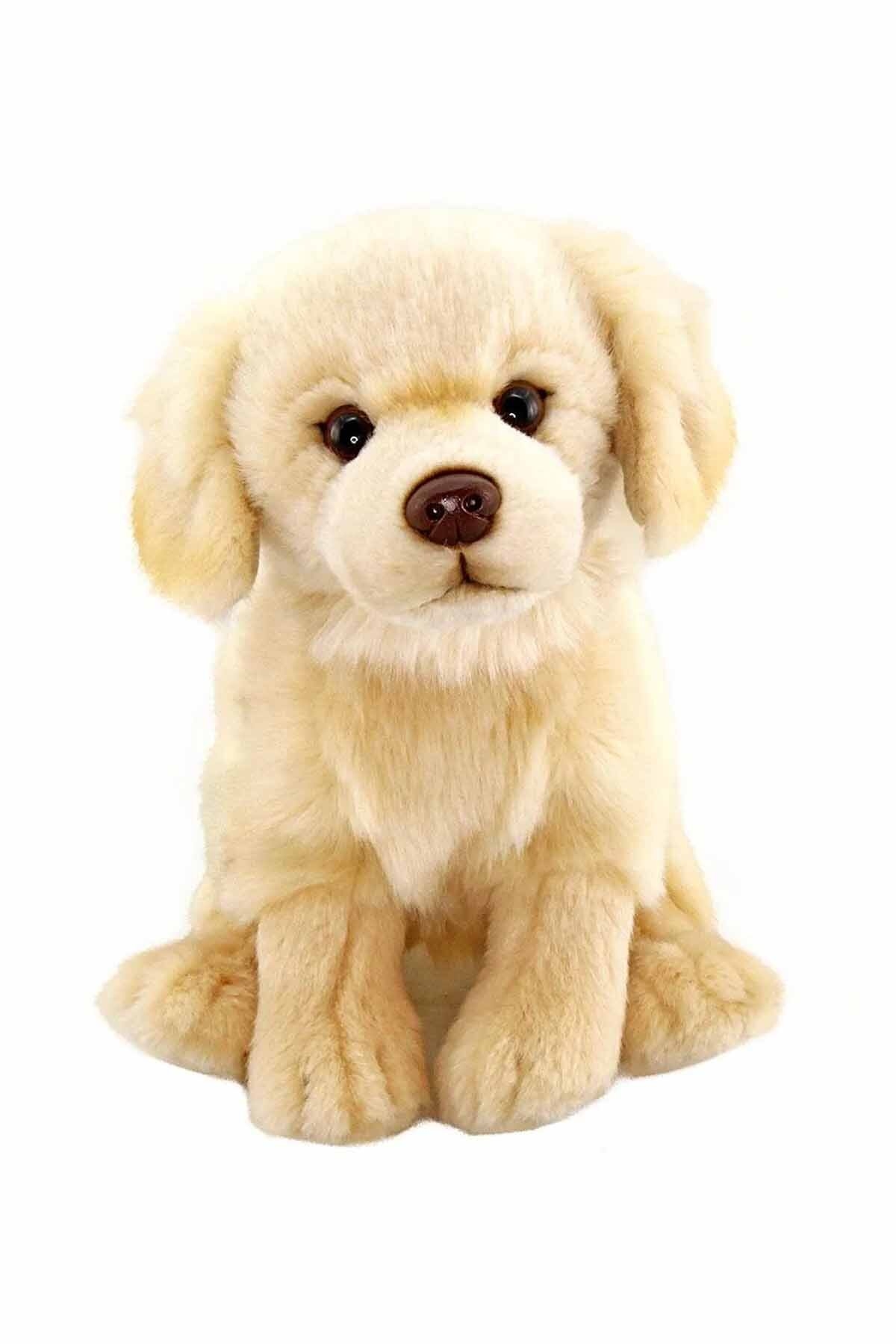 Animals of the World Floppy Golden Retriever Pelüş 28 cm