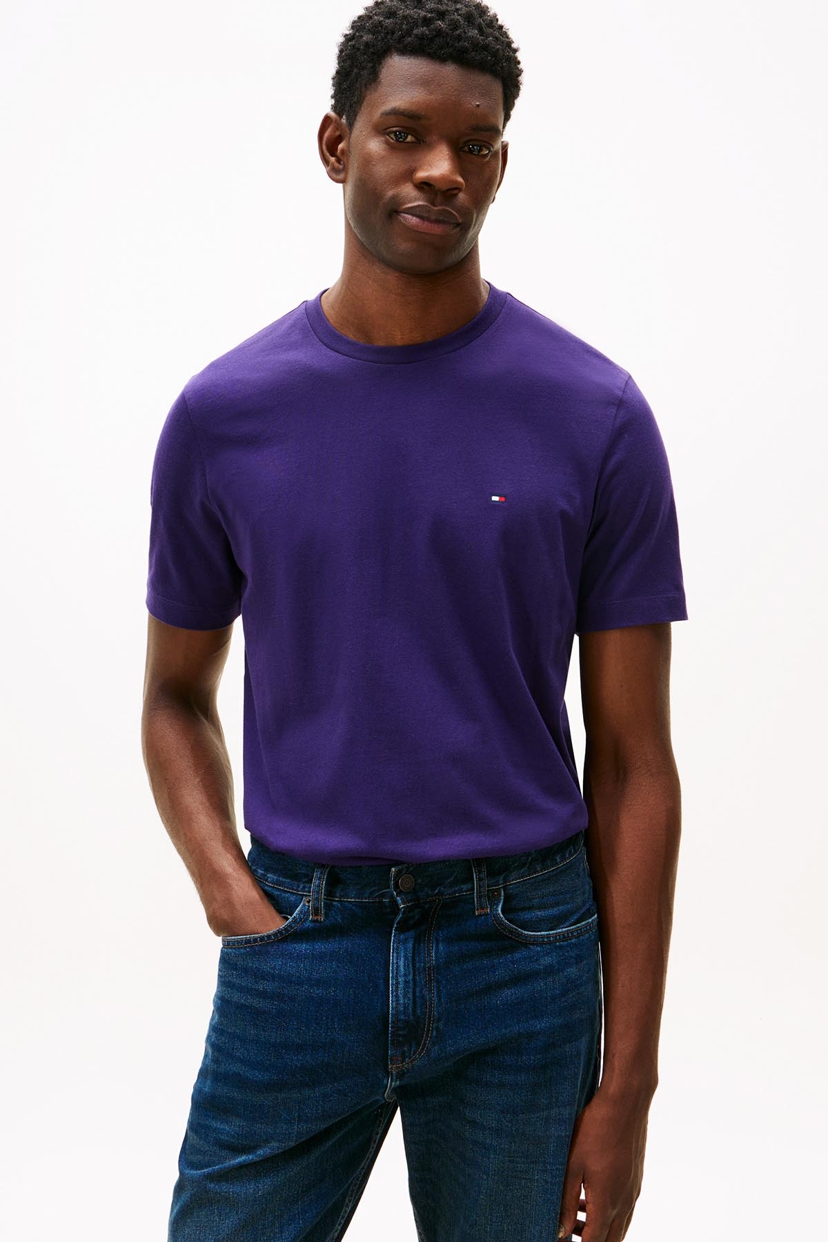 Tommy Hilfiger Erkek Tişört MW0MW39995