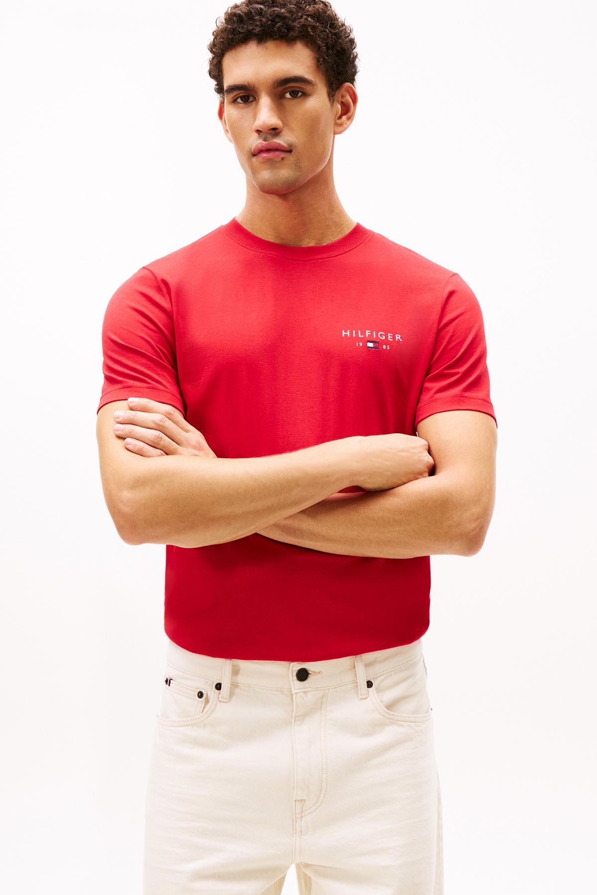 Tommy Hilfiger Erkek Tişört MW0MW41456