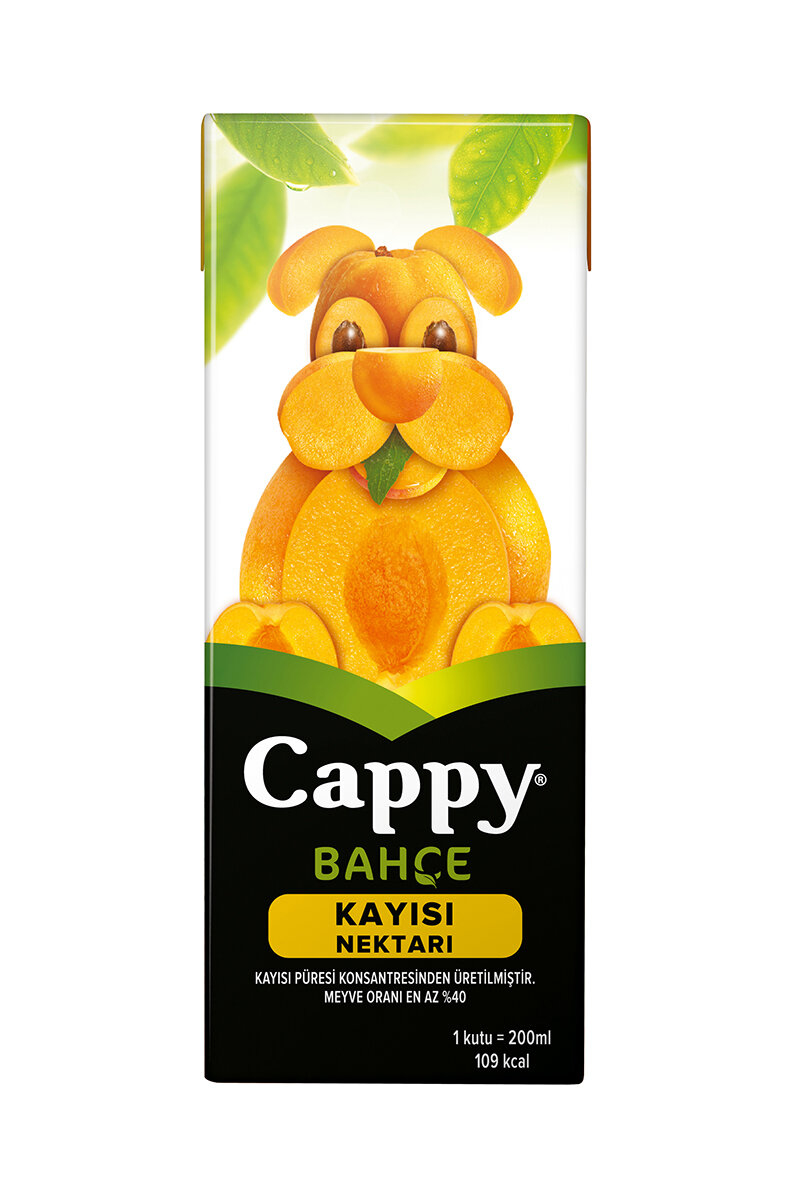 Cappy Kayısı Nektarı 200 ml
