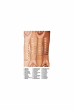 Even Better Clinical Serum Fondöten WN01