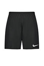 Nike Erkek Şort BV6855-010