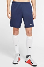 Nike Erkek SHORT BV6855-410