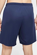 Nike Erkek SHORT BV6855-410