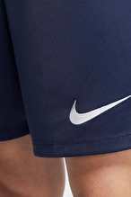 Nike Erkek SHORT BV6855-410