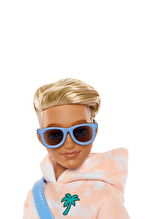 Barbie Dream Besties Ana Karakter Bebeği Ken JDD75