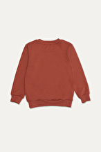 Funfair Erkek Çocuk Basic Sweatshirt 2526207001.B