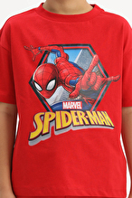 Spiderman © Marvel Funfair Erkek Çocuk Tişört 261OZSP-1001