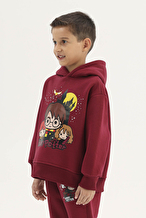 Harry Potter © Warner Bros Funfair Kız Çocuk Sweatshirt 262OZHP-1005 Bordo