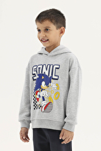 Sonıc © Sega Funfair Erkek Çocuk Sweatshirt 262OZSC-1001 Gri