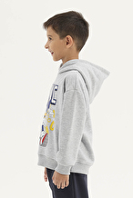 Sonıc © Sega Funfair Erkek Çocuk Sweatshirt 262OZSC-1001 Gri