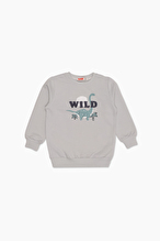 Funfair Erkek Çocuk Sweat 2626207005 Gri