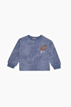Funfair Erkek Çocuk Sweatshirt 2626207017.10376