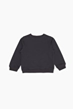 Funfair Erkek Çocuk Sweatshirt 2626207019.10086
