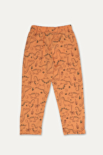 Funfair Erkek Çocuk Dinozor Baskılı Kısa Kollu Pijama Takımı 251ET03PL
