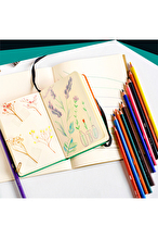 Bıc Color Up Üçgen Kuru Boya 24 Lu