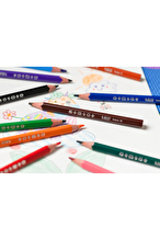 BIC Kids Evolution Üçgen Jumbo Kuru Boya Kalemi 12'li Kutu
