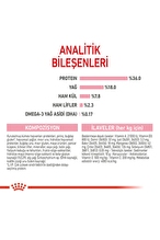 Royal Canin Yavru Kediler için Kuru Kedi Maması 2kg