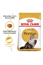 Royal Canin İran Kedisi için Kuru Kedi Maması 4kg