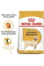 Royal Canin Labrador Retriever Yetişkin Kuru Köpek Maması 12kg