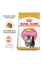 Royal Canin İran Kedisi için Yavru Kedi Maması 2 kg