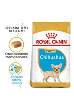 Royal Canin Chihuahua Yavru Köpek Maması 1,5 kg
