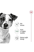 Royal Canin Küçük Irklar için Yetişkin Kuru Köpek Maması 4kg