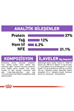 Royal Canin Sterilised37 Kısırlaştırılmış Kediler için Kuru Kedi Maması 10kg