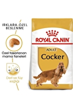 Royal Canin Cocker Kuru Köpek Maması 3kg