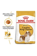Royal Canin Cavalier King Charles Kuru Köpek Maması 3kg