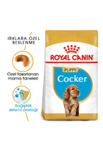 Royal Canin Cocker Yavru Köpek Maması 3 kg