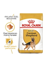 Royal Canin Alman Çobanköpeği Yetişkin Kuru Köpek Maması 11kg