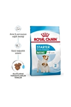 Royal Canin Starter Mother&Babydog Gebe/Laktasyondaki Anne ve Yavru Köpekler için Kuru Köpek Maması 4kg
