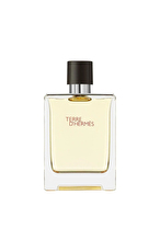 Hermes Terre D'Hermes Edt Man 100 ml