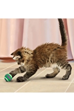 Kong Kedi Top Tenis Zilli 3Lü