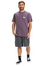 Quiksilver Erkek Tişört EQYZT08042-PQC0