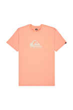 Quiksilver Erkek Tişört EQYZT08072-MEF0