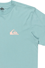 Quiksilver Erkek Tişört EQYZT08042-18289