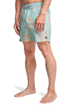 Billabong Erkek Mayo Şort EBYJV00159.BFW1