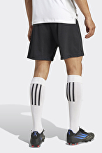 Adidas Erkek Şort H57504