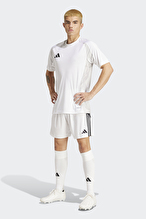 adidas Erkek Şort IR9380