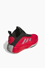 adidas Ownthegame 3.0 Erkek Ayakkabı JS2169