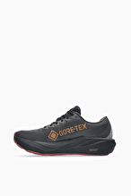 Asics Gt-2000 15 Gtx Erkek Ayakkabı 1011C237-020