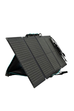 EcoFlow 110W Taşınabilir Güneş Paneli Solar110W182-US