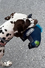 Joyser Boğa Dayanıklı ve Hafif 2 Katmanlı Köpek Oyuncağı 27x20 cm
