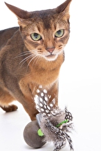 JOYSER Catnip Ball Kedi Otlu Gerçek Tüylü Top Kedi Oyuncağı 13 cm
