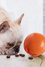 JOYSER Plus Kauçuk Top Köpek Oyuncağı M/L
