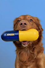 JOYSER Plus Kauçuk Hap Şeklinde Köpek Oyuncağı M/L