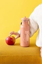 Trixie Cat 500 Ml Matara